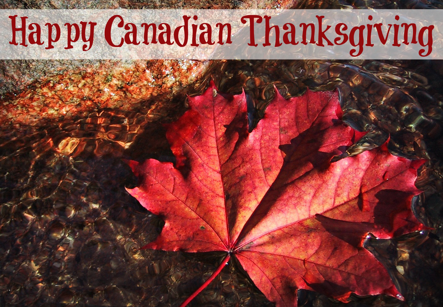 Happy Thanksgiving from Canadian Ambassador Peter McGovern