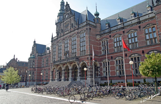 Universities in Europe:  Some Good Reasons to Go Dutch