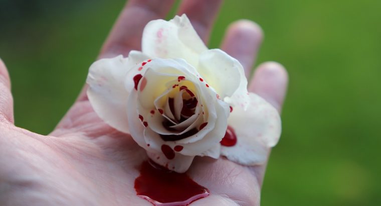 Poem: A Rose Has Thorns