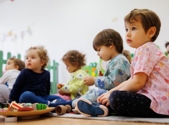 Bilingual School or International School: Which is Better for Your Family?