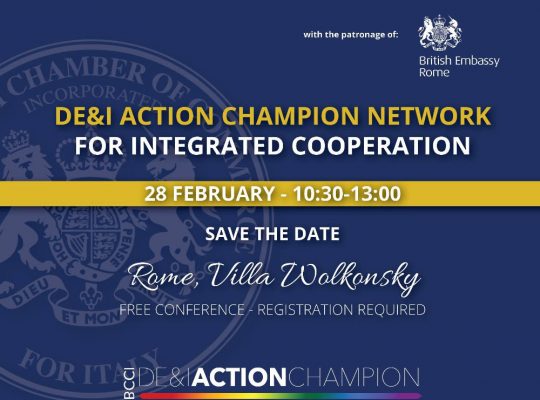 DE&I Action Champion Network for integrated Cooperation