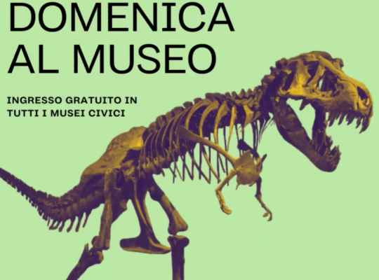 Milan Civic Museums – Free entry every first Sunday of the month