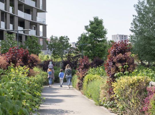 Why International Families Are Choosing UpTown Milano’s 30-Hectare Park